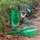Создаем комфорт для растений с помощью бутылок из пластика