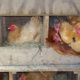Куры дружно клюют свои яйца – как уберечь ценный продукт от пеструшек?